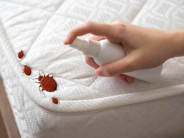 Best Indoor Pest Control  in Fremont, MI